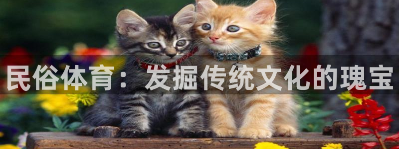 星奥娱乐旗下艺人