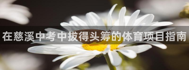 星澳娱乐公司简介