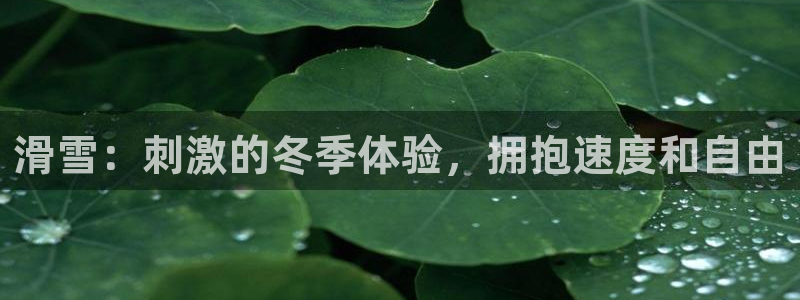 星欧娱乐平台怎么样啊