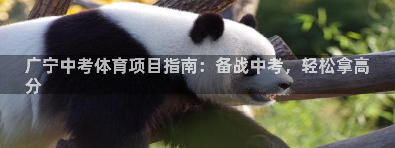 江苏星奥娱乐有限公司怎么样