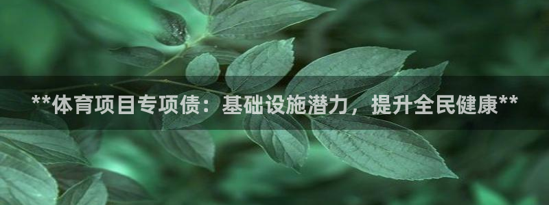 江苏星奥娱乐有限公司报名