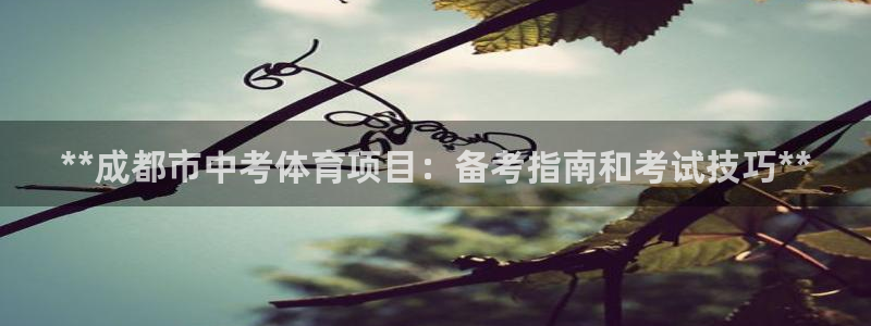 星欧娱乐最建议买的三个产品是哪三个