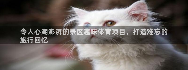 星欧娱乐app最新版本更新内容下载