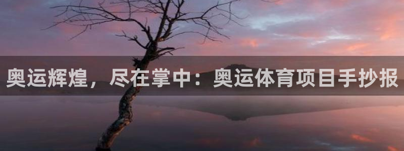 星游娱乐下载地址