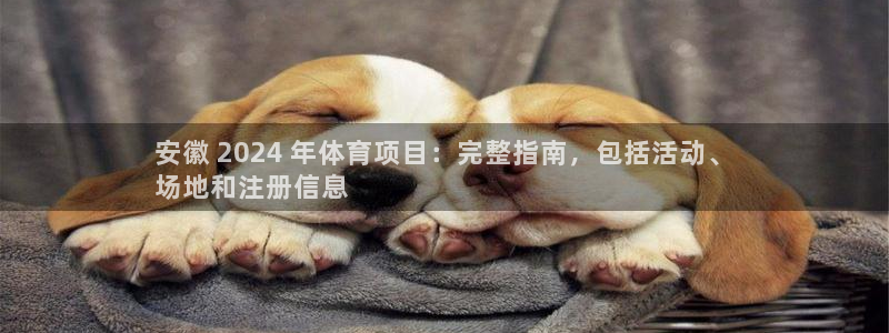 星欧娱乐公司创始人背景故事介绍