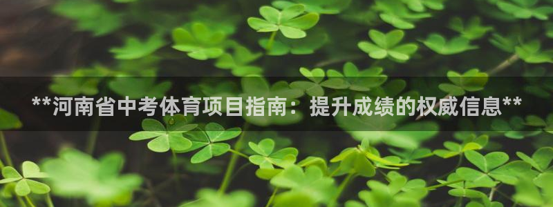 江苏星奥娱乐有限公司怎么样