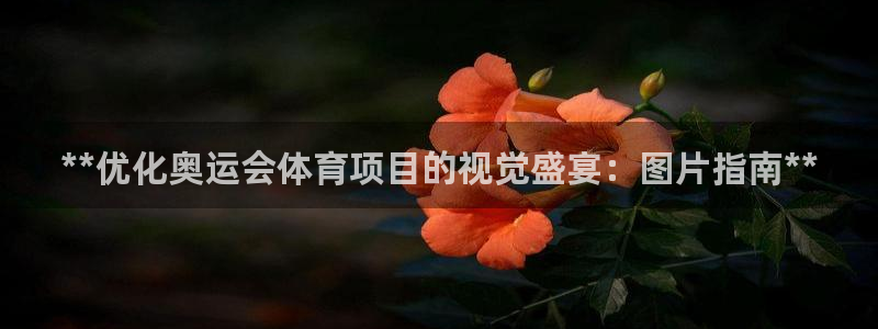 星欧娱乐扣费后解决方法