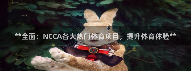星澳娱乐公司