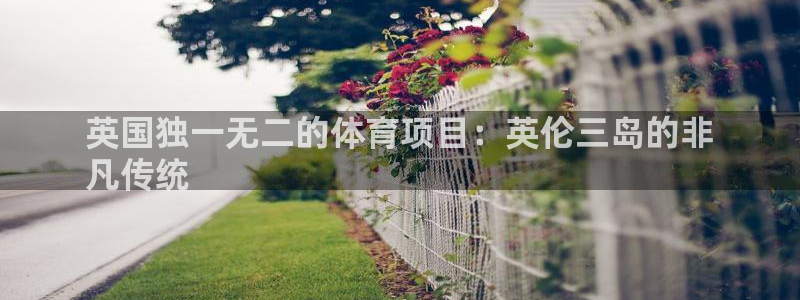 星欧娱乐挂机赚钱