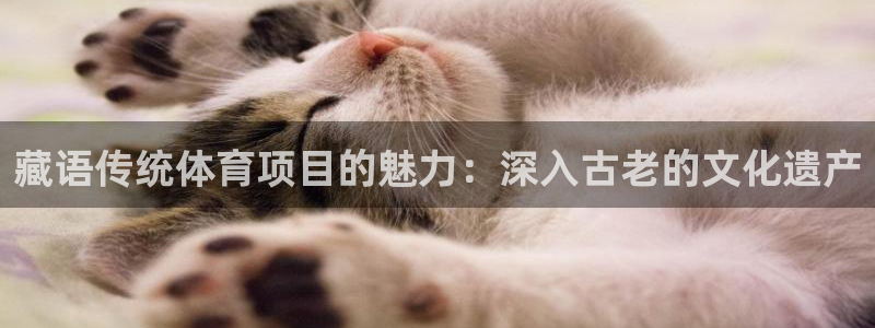 星欧娱乐是正规平台吗知乎