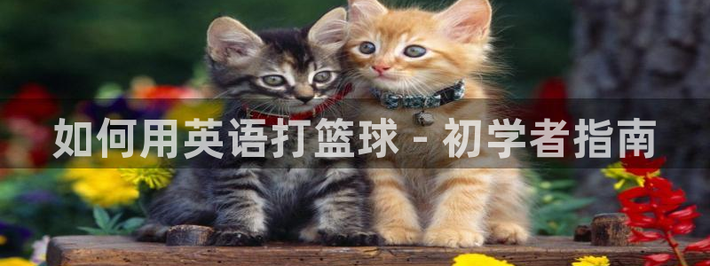 星欧娱乐扣款流程详解图