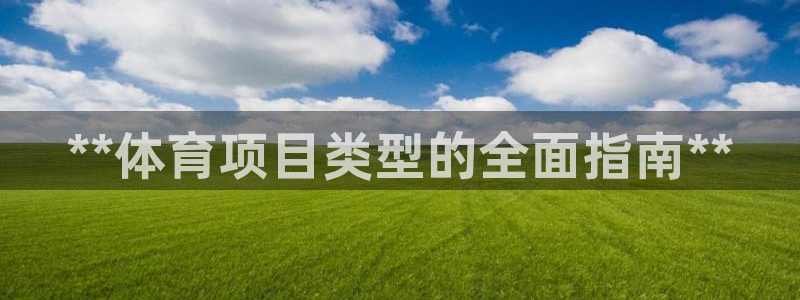 星欧娱乐属于什么档次的软件公司