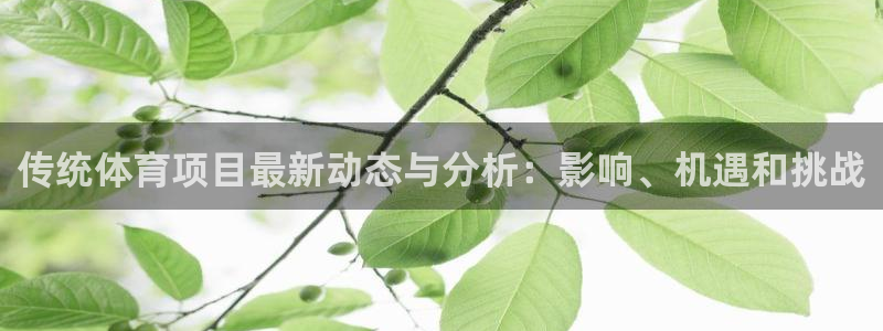 星欧娱乐挂机教程