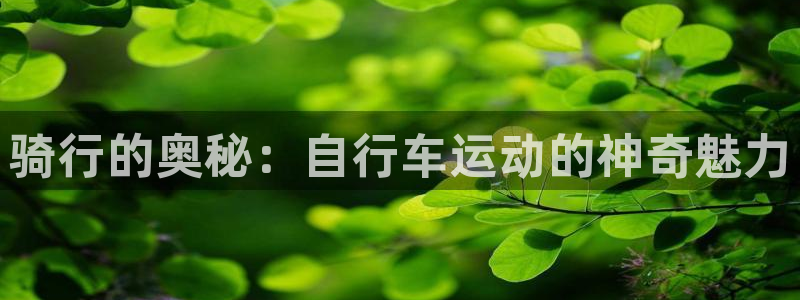 星欧娱乐是正规平台吗知乎