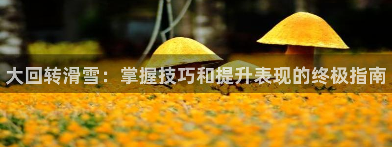 星欧娱乐联游戏评测