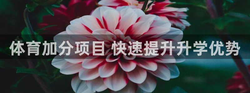 星欧娱乐工711.11是正规的吗