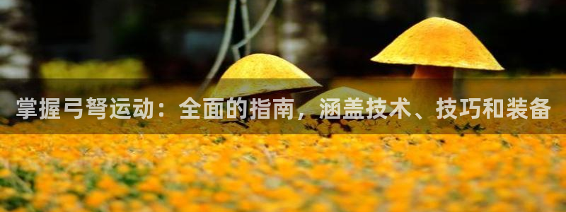 星欧娱乐游戏中心官网登录