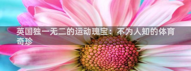星娱乐online创作的原声胡歌吴磊