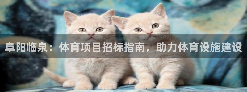 星欧娱乐的创始人背景故事简介
