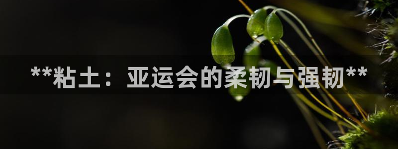 星欧娱乐联最新新闻