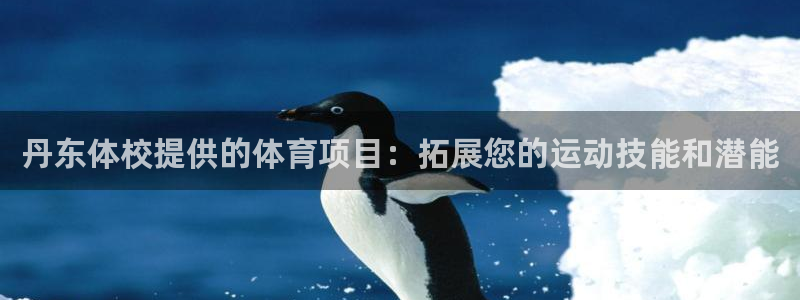 星欧娱乐平台测速线路