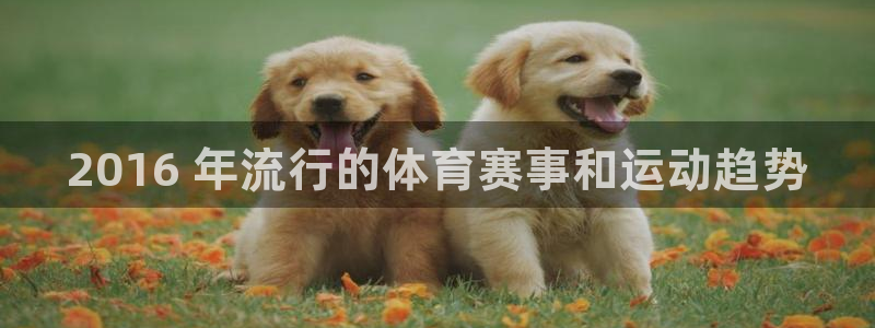 星欧娱乐总代.直开.中国