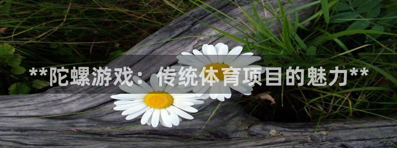 星娱乐online