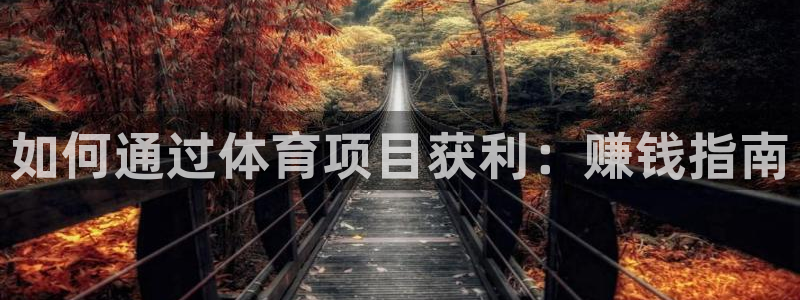 星欧娱乐是正规平台吗安全吗