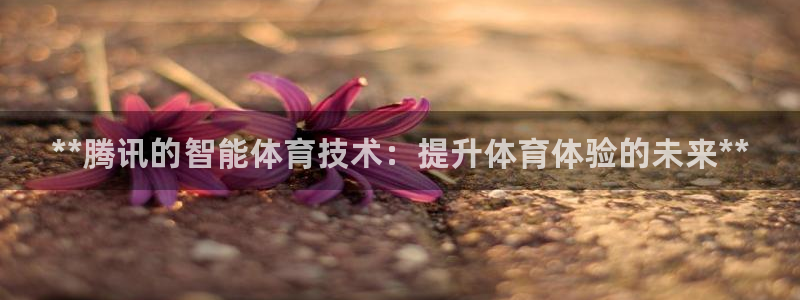 星欧娱乐挂机赚钱是真的吗