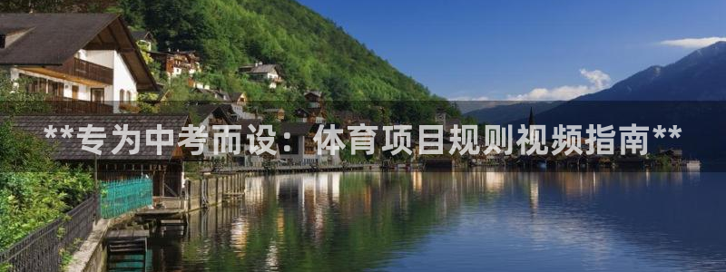 澳星国际娱乐集团