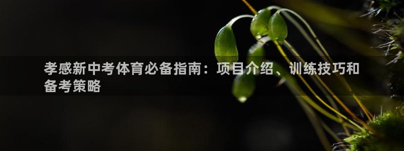 星游娱乐下载地址