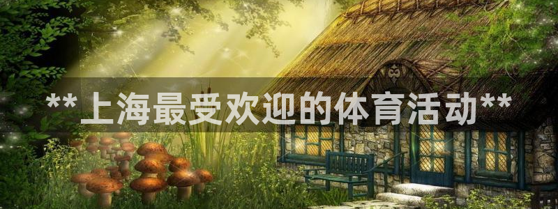 星欧娱乐平台过7O777