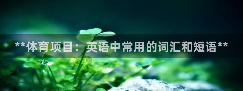 星欧娱乐公司创始人背景故事是什么