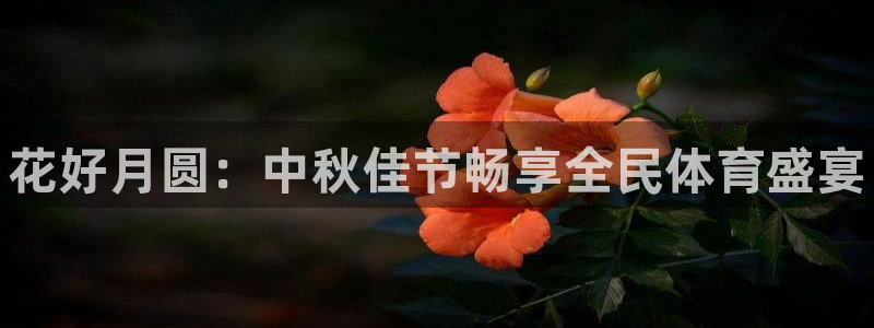 星欧娱乐平台怎么样啊