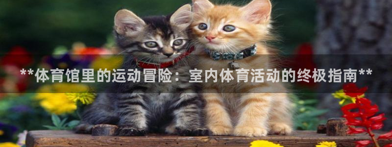 星欧娱乐平台方7O777