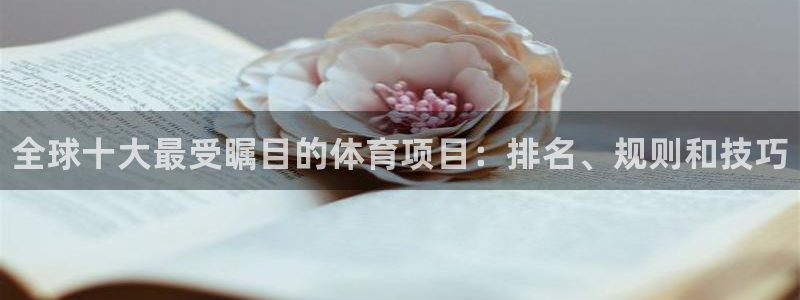 星欧娱乐扣款流程详解图高清