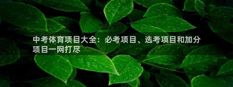 星欧娱乐挂机教程下载